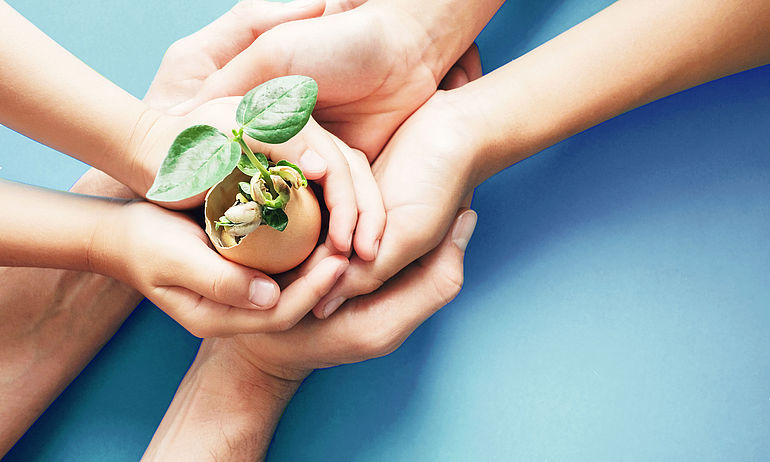 six hands holding egg with a plant growing out of it