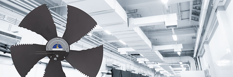 2-ventilations black axial fan FE3owlet ECblue with ventilation system in the background