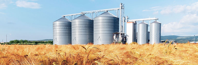 cereal field with silo in the background