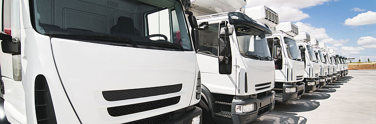 ten white trucks in a row