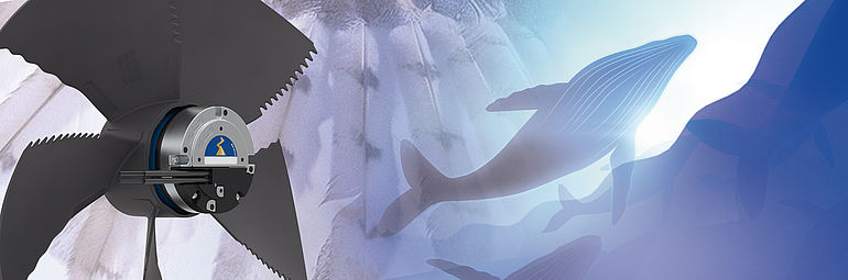 black FE3owlet ECblue with detail view owl wing and graphic marine mammal