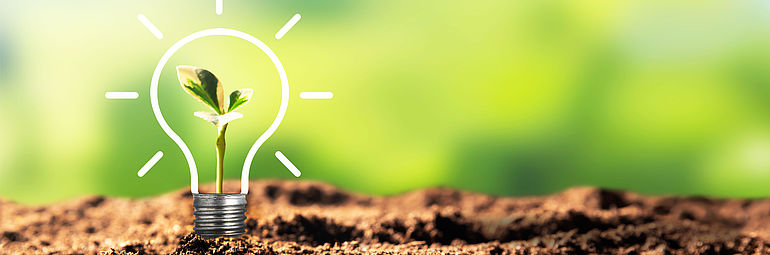 Design plant growing from illustration of a light bulb against green background