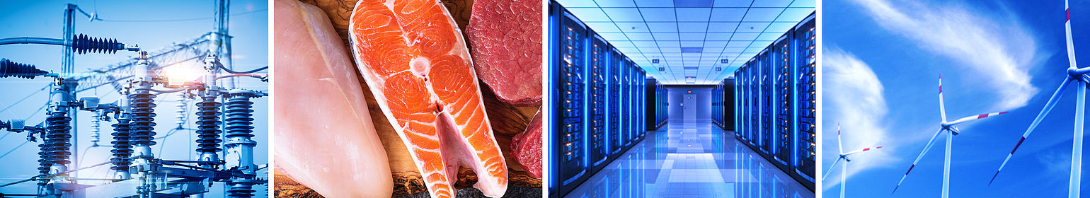 Anwendungen LiveDiagnose Strommast, Fleisch & Fisch, Datenzentrum, Windräder