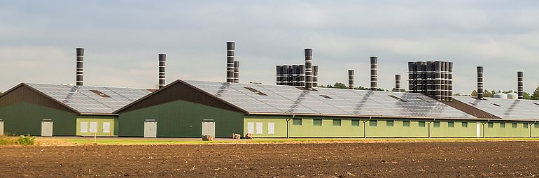 Field with animal stables in the background