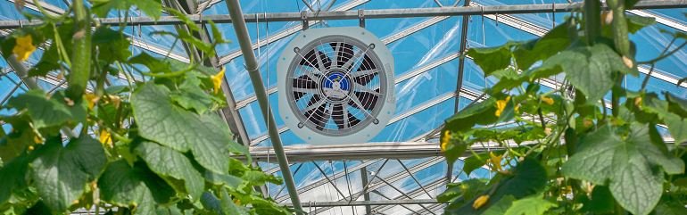 Ventilator in einem Gewächshaus mit Pflanzen
