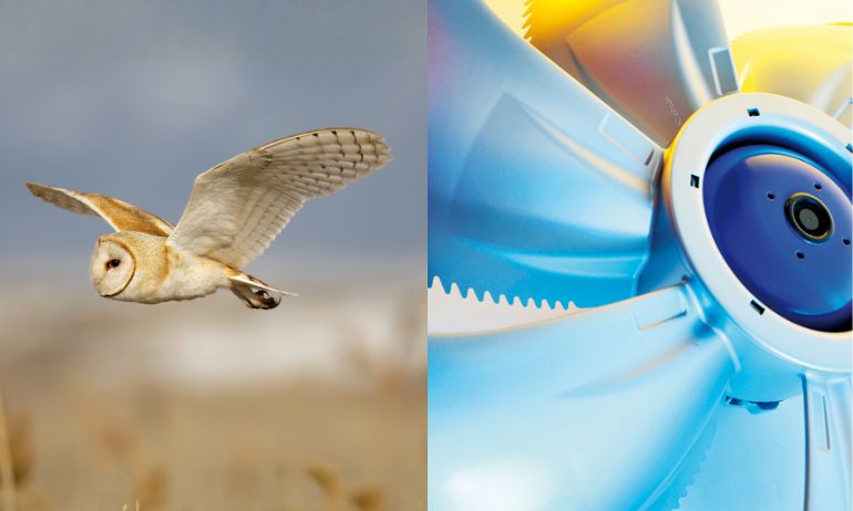 Uilenvleugel inspiratie voor stille ventilatoren